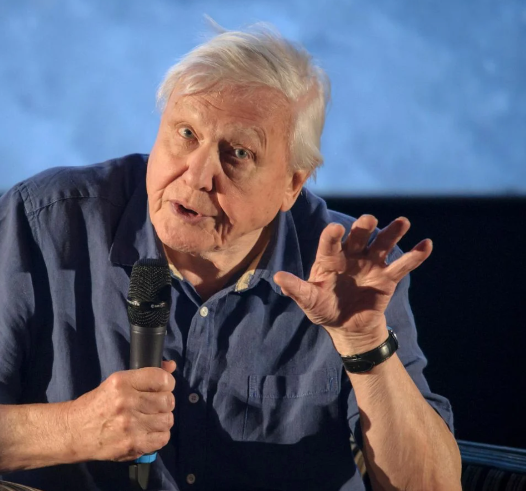 David Attenborough speaking into a microphone and gesturing