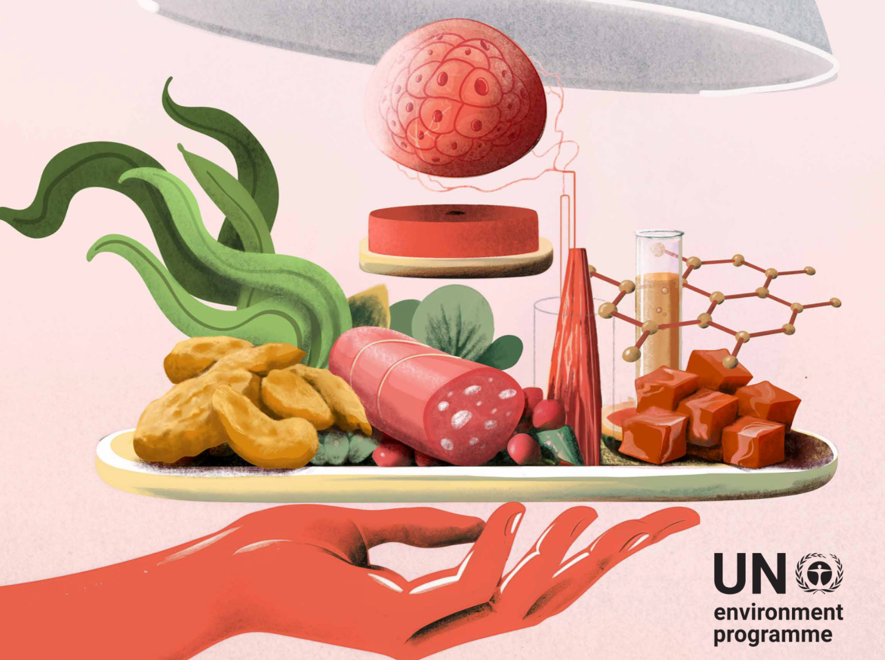 illustration of a tray holding alt proteins