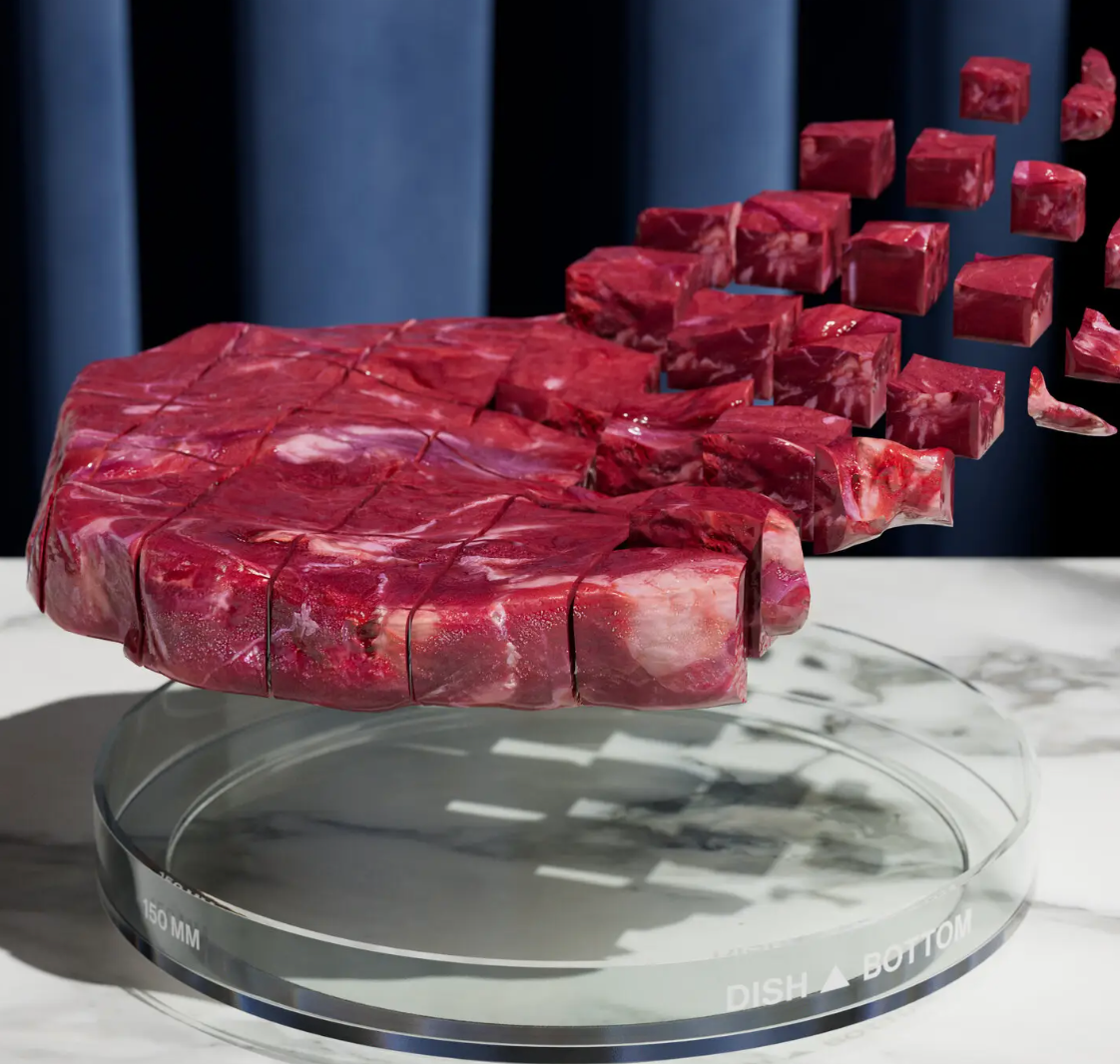 steak cut into cubes over a petri dish