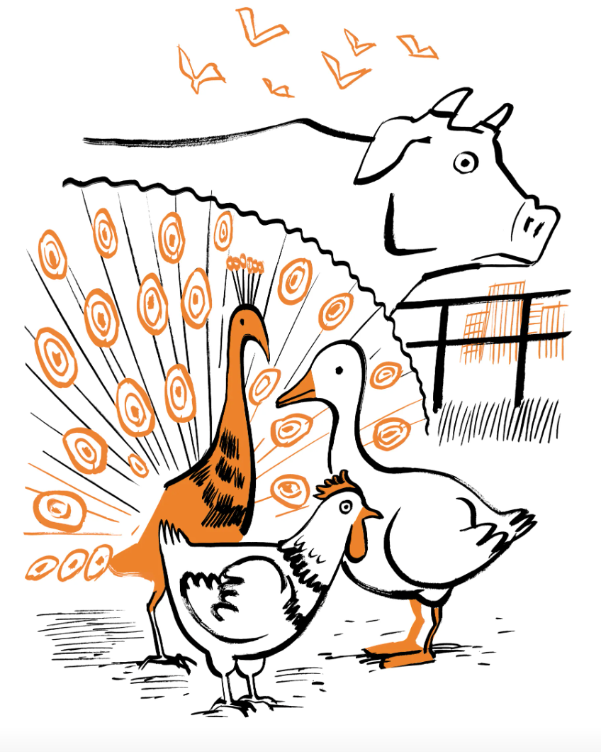 animals affected by bird flu (illustration)