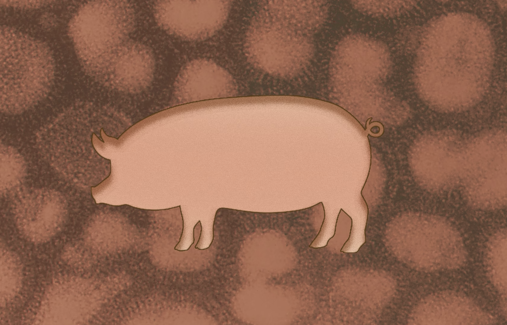 outline of a pig