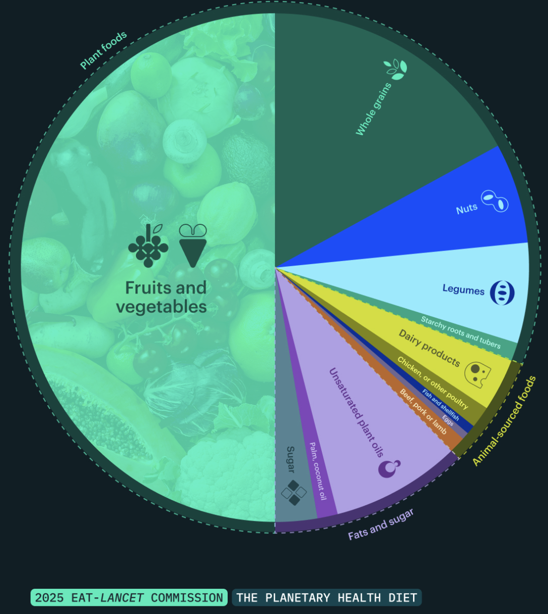 2025 Planetary Health Diet (pie chart)